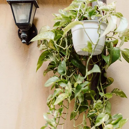 Apartamento The Oasis Of Trastevere